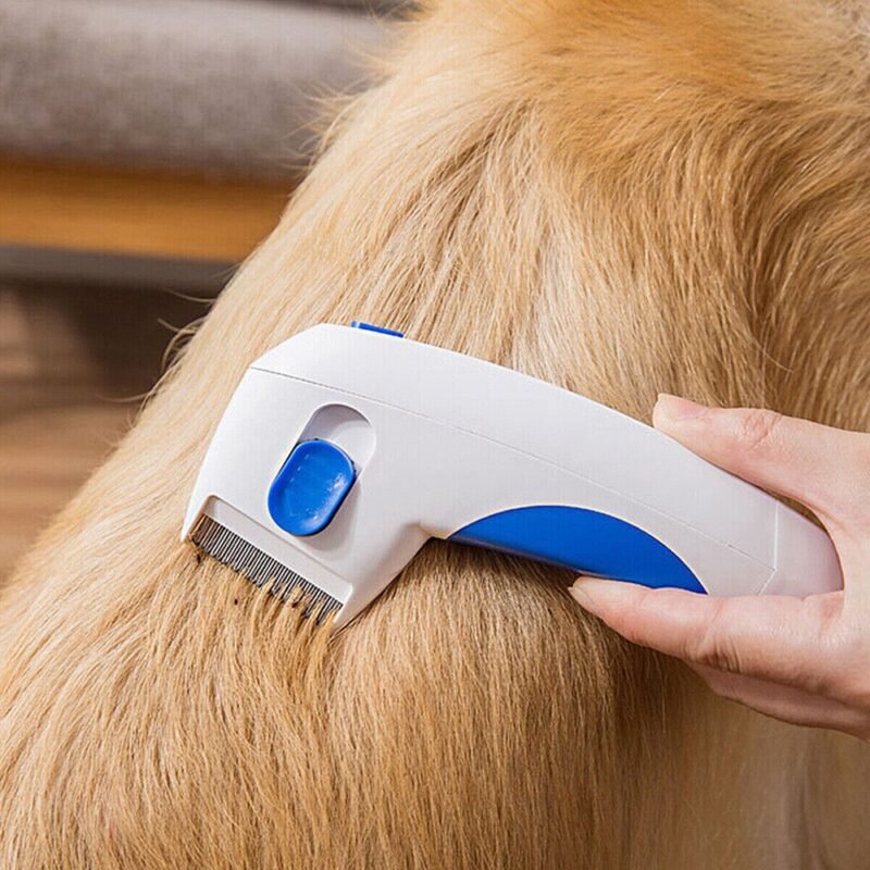 Pettine elettrico antipulci bianco e blu usato sul pelo lungo di un cane dorato