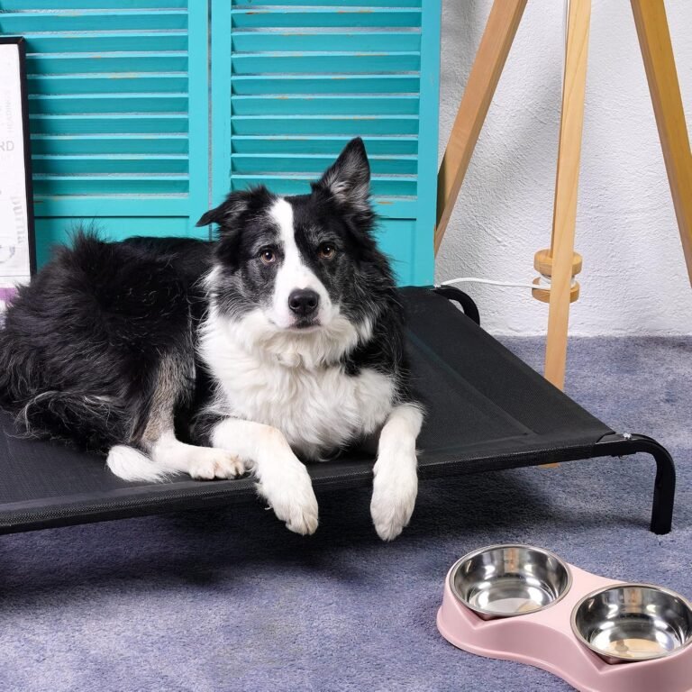 Lettino rialzato pieghevole per cani in uso